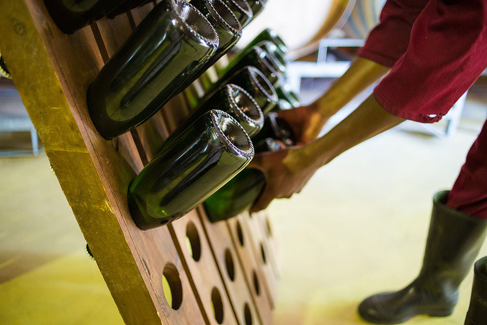 Bottles in a pupitre being turned during the riddling stage / Getty